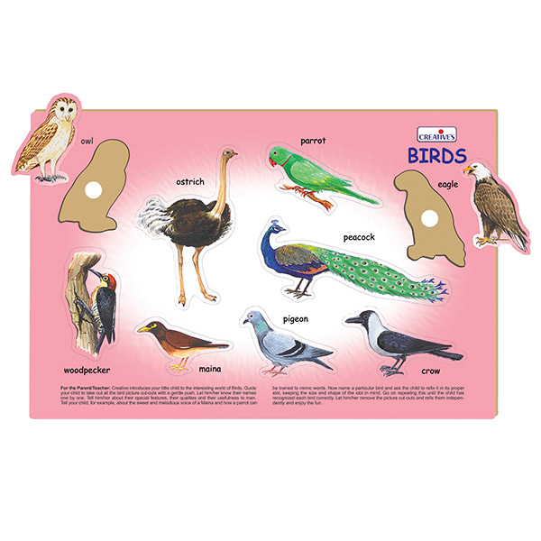 Creative's- Play ‘N’ Learn – Birds