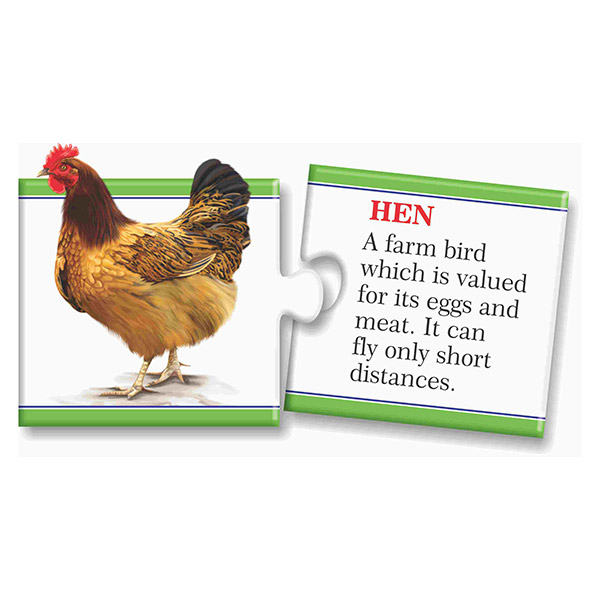 Creative's- Knowledge Booster – Animal Kingdom