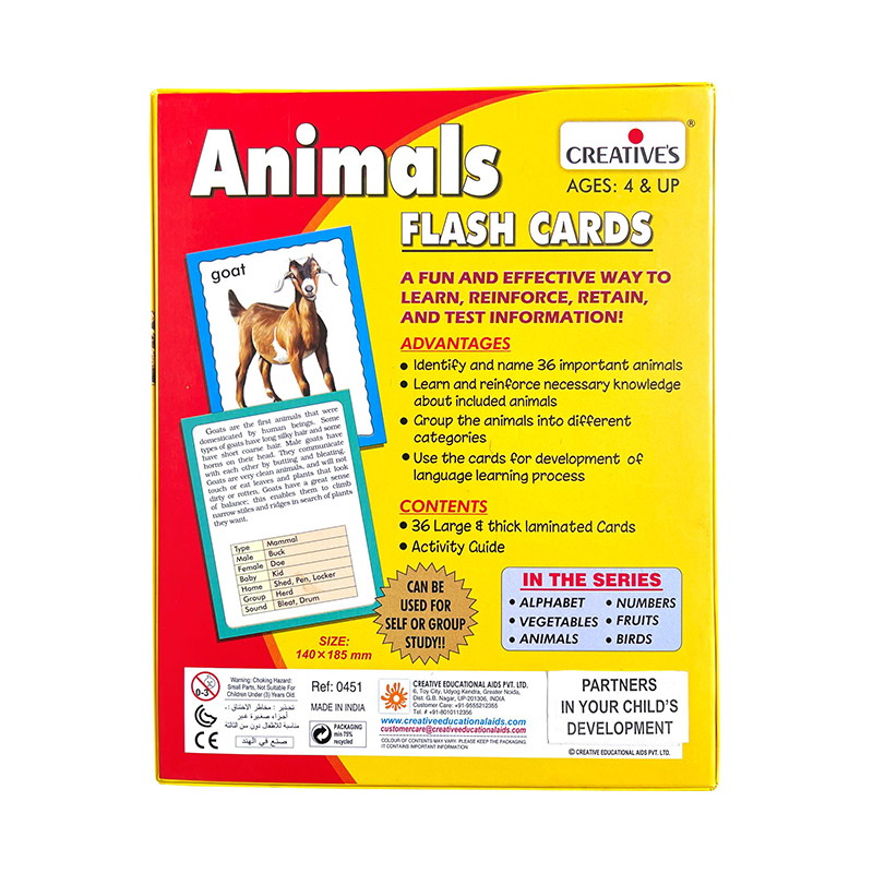 Creative's- Discover Animals (Jumbo Flash cards)