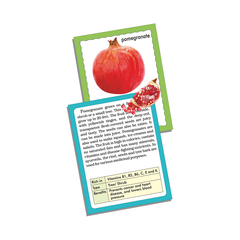 Creative's- Discover Fruits