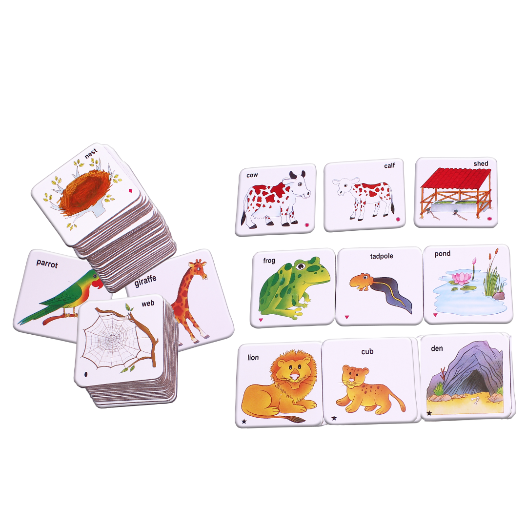 Animal Families and their Homes