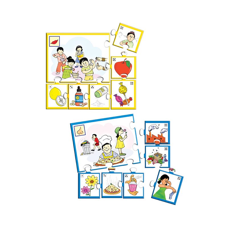 Creative's- Our Five Senses