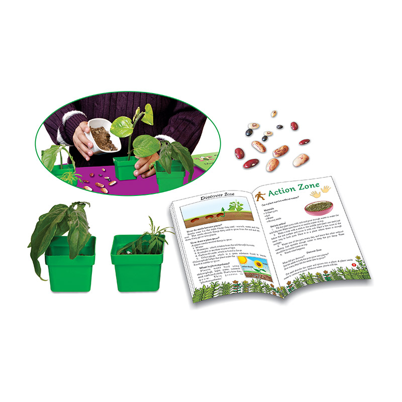 Creative's- Magic of Seeds